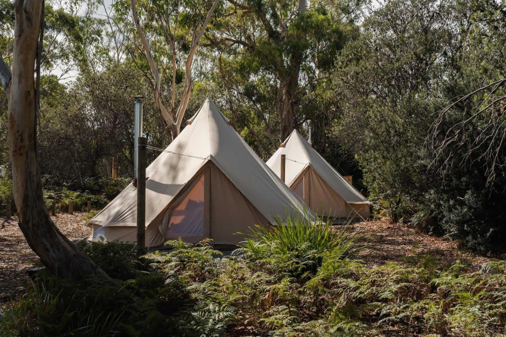 Numie - Freycinet Peninsula - Glamping - Heated - Waterfront Hotel Coles Bay Exterior foto