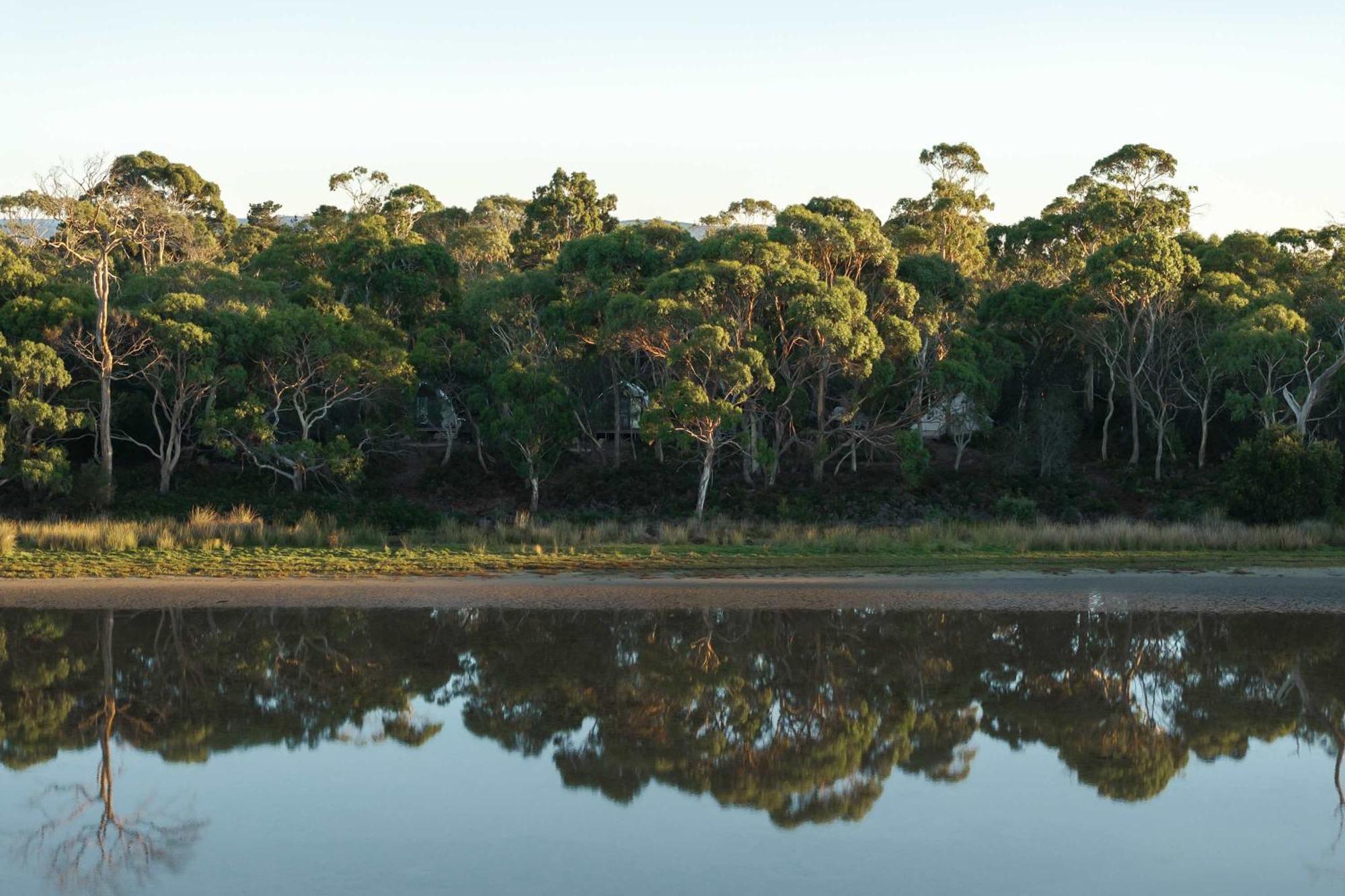 Numie - Freycinet Peninsula - Glamping - Heated - Waterfront Hotel Coles Bay Exterior foto
