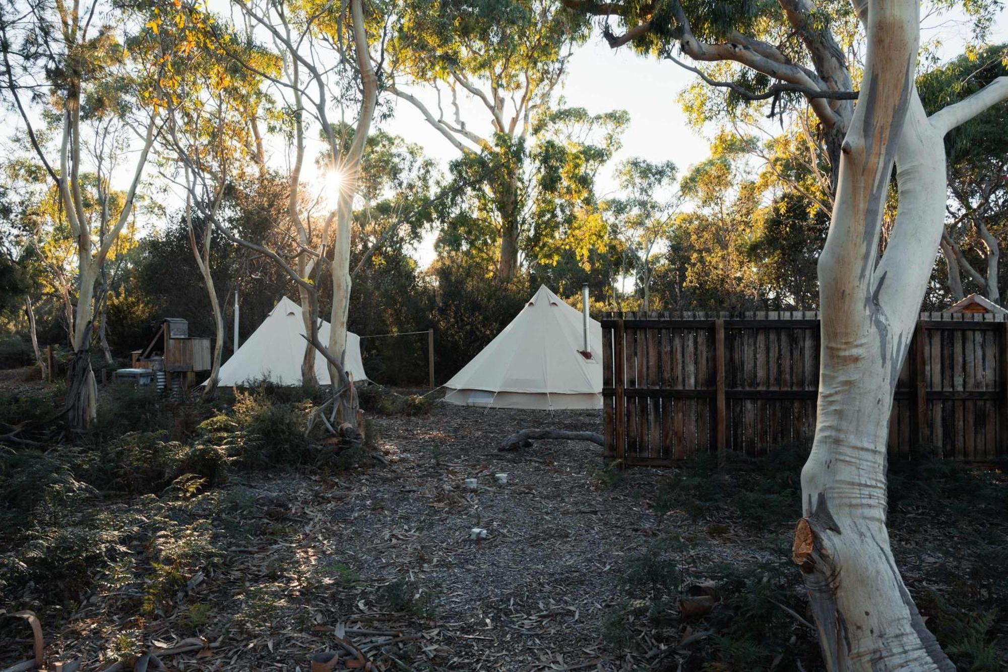 Numie - Freycinet Peninsula - Glamping - Heated - Waterfront Hotel Coles Bay Exterior foto