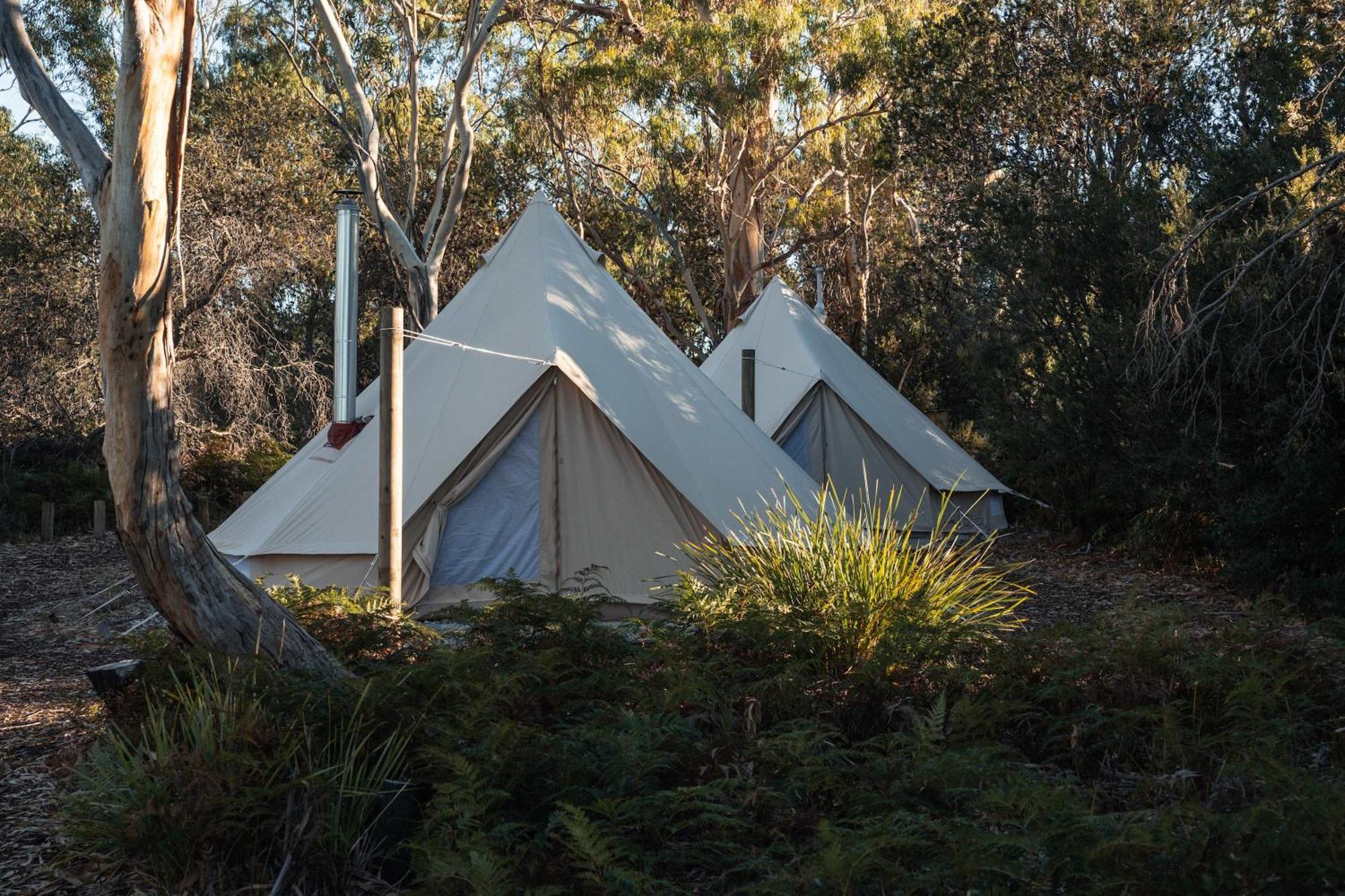 Numie - Freycinet Peninsula - Glamping - Heated - Waterfront Hotel Coles Bay Exterior foto