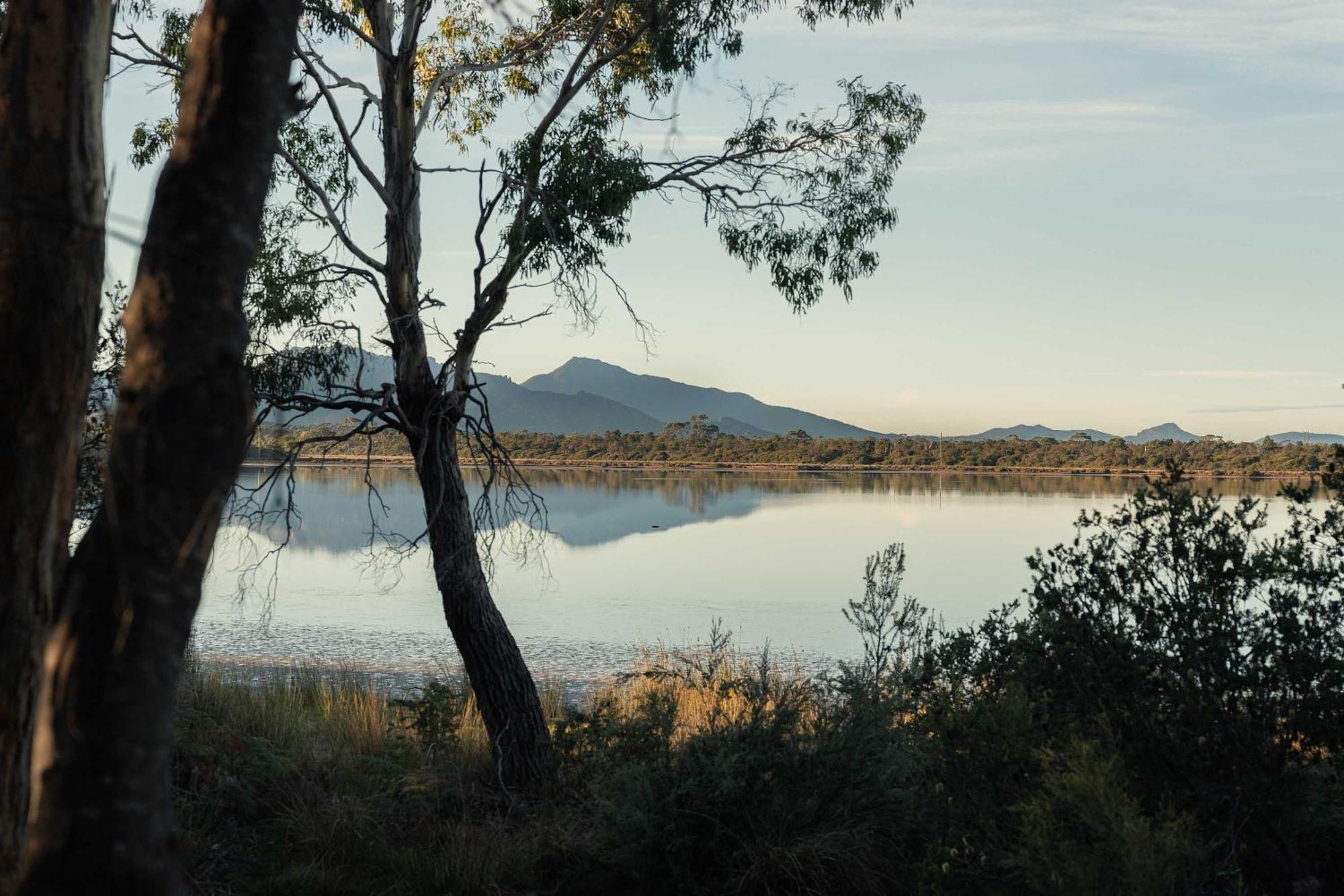 Numie - Freycinet Peninsula - Glamping - Heated - Waterfront Hotel Coles Bay Exterior foto