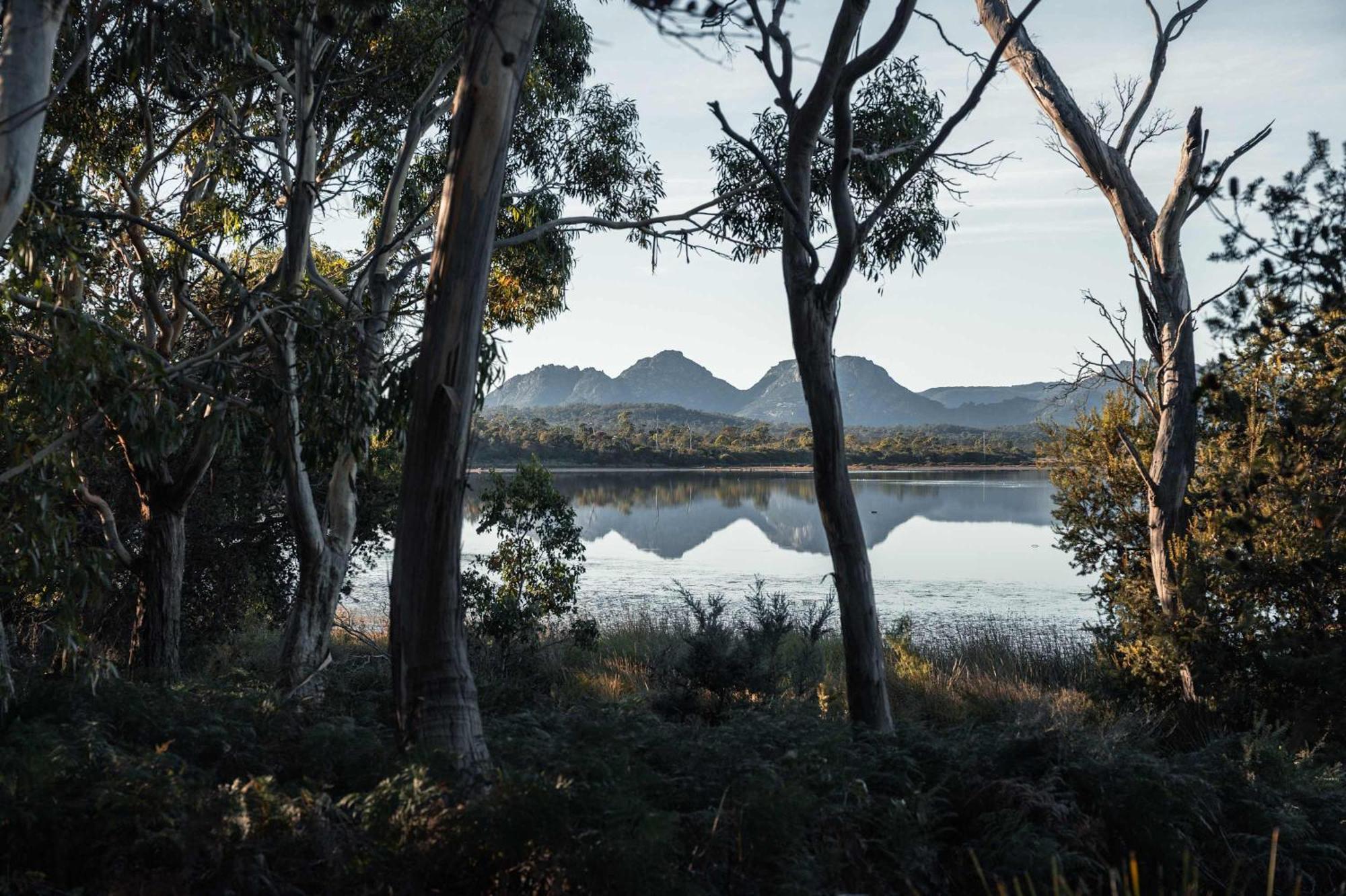 Numie - Freycinet Peninsula - Glamping - Heated - Waterfront Hotel Coles Bay Exterior foto