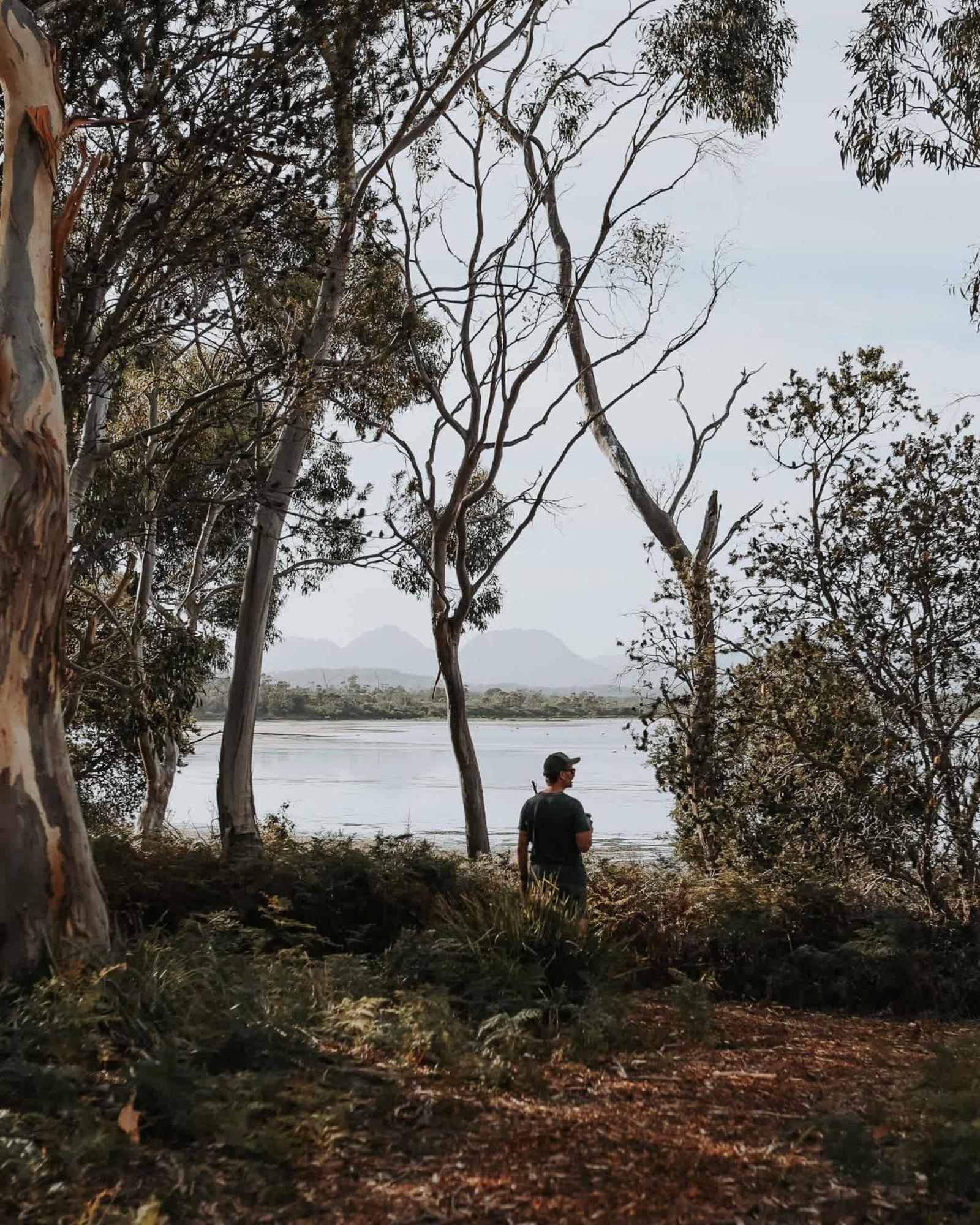 Numie - Freycinet Peninsula - Glamping - Heated - Waterfront Hotel Coles Bay Exterior foto
