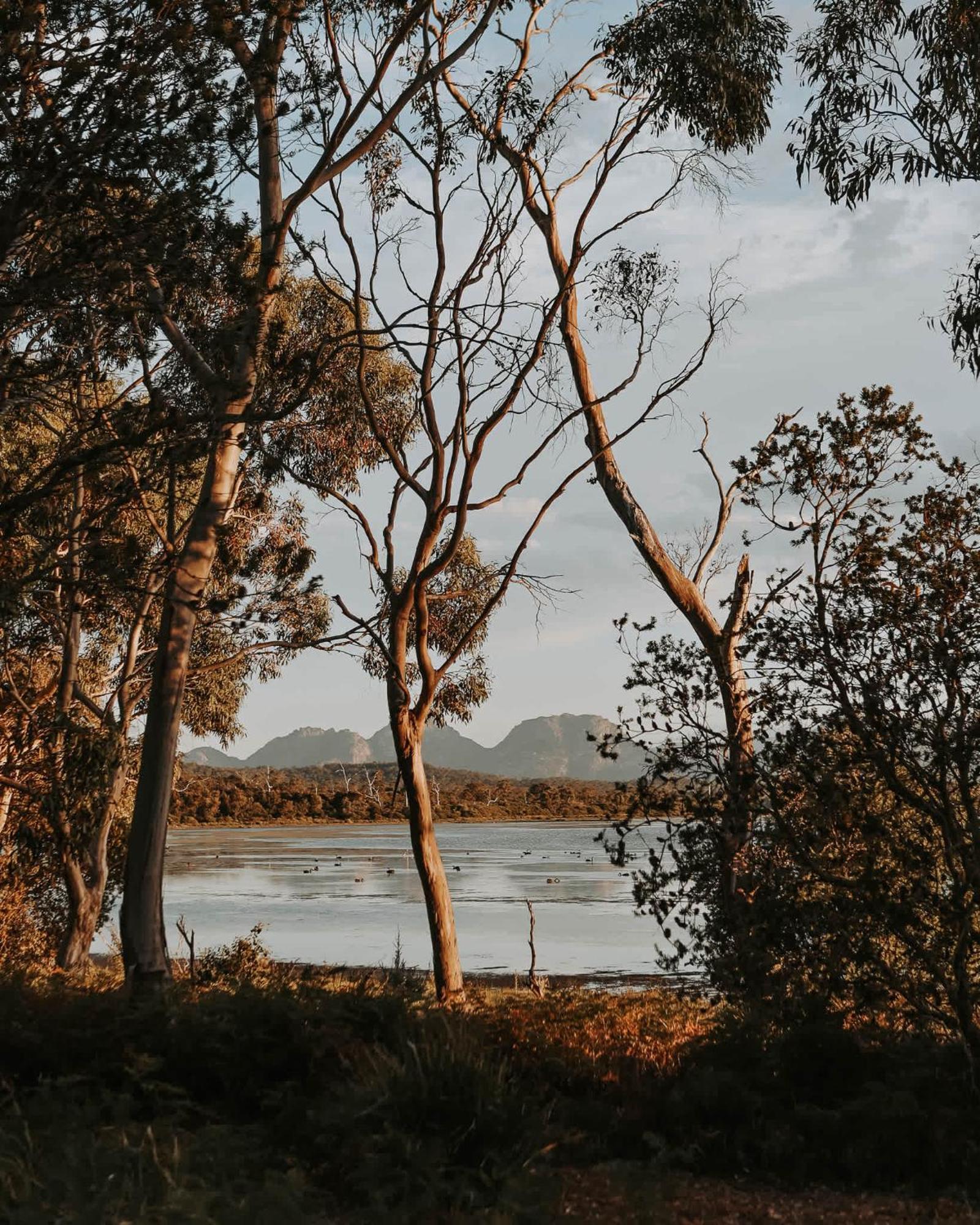 Numie - Freycinet Peninsula - Glamping - Heated - Waterfront Hotel Coles Bay Exterior foto